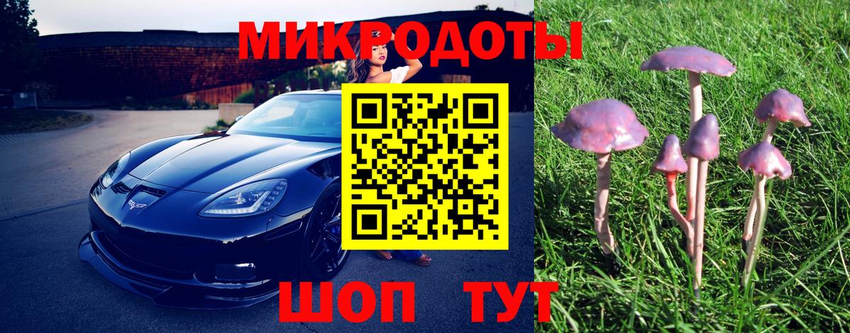 Галлюциногенные грибы прущие грибы Дальнегорск